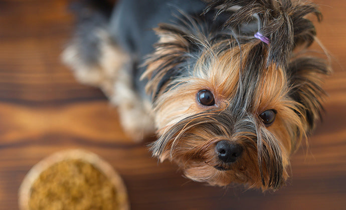 大きくなるまでにすることチェック