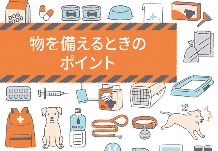 物を備えるときのポイント(愛猫編)