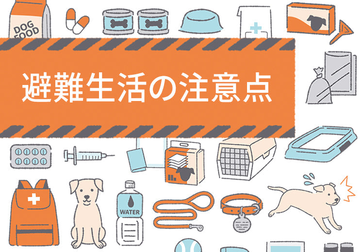 避難生活の注意点