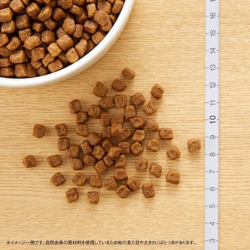 ニュートロ ナチュラル チョイス 子犬用 妊娠中・授乳中の母犬にも 超小型犬〜中型犬用 チキン&玄米 1kg/3kg/6kg