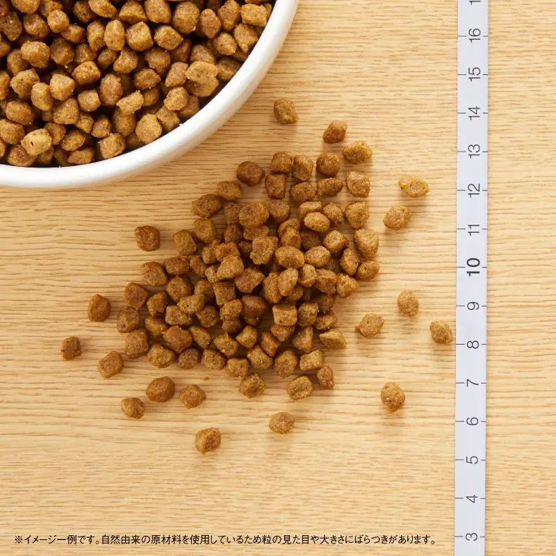 ニュートロ ナチュラル チョイス 超小型犬4kg以下用 エイジングケア チキン&玄米 800g/2kg/4kg