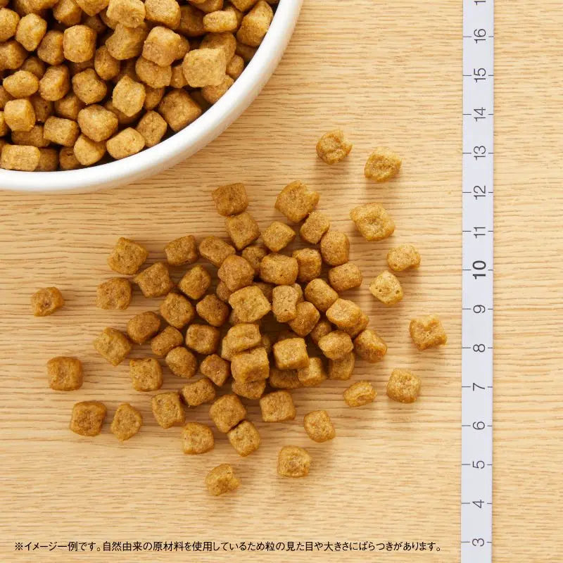 ニュートロ ナチュラル チョイス 小型犬用 エイジングケア チキン&玄米 1kg/3kg/6kg