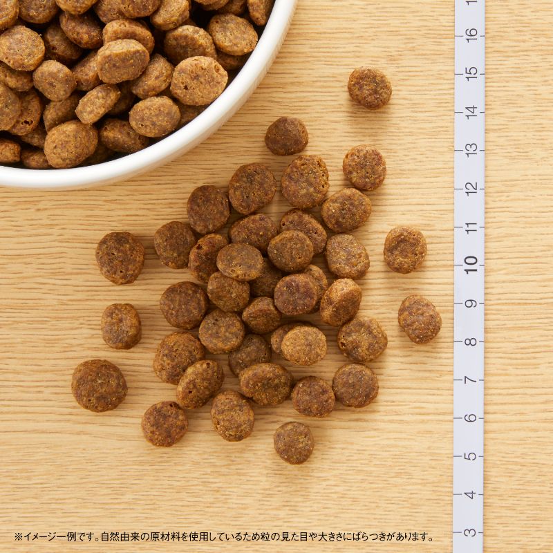ニュートロ ナチュラル チョイス 全犬種用 成犬用 フィッシュ&ポテト 1kg/3kg/6kg