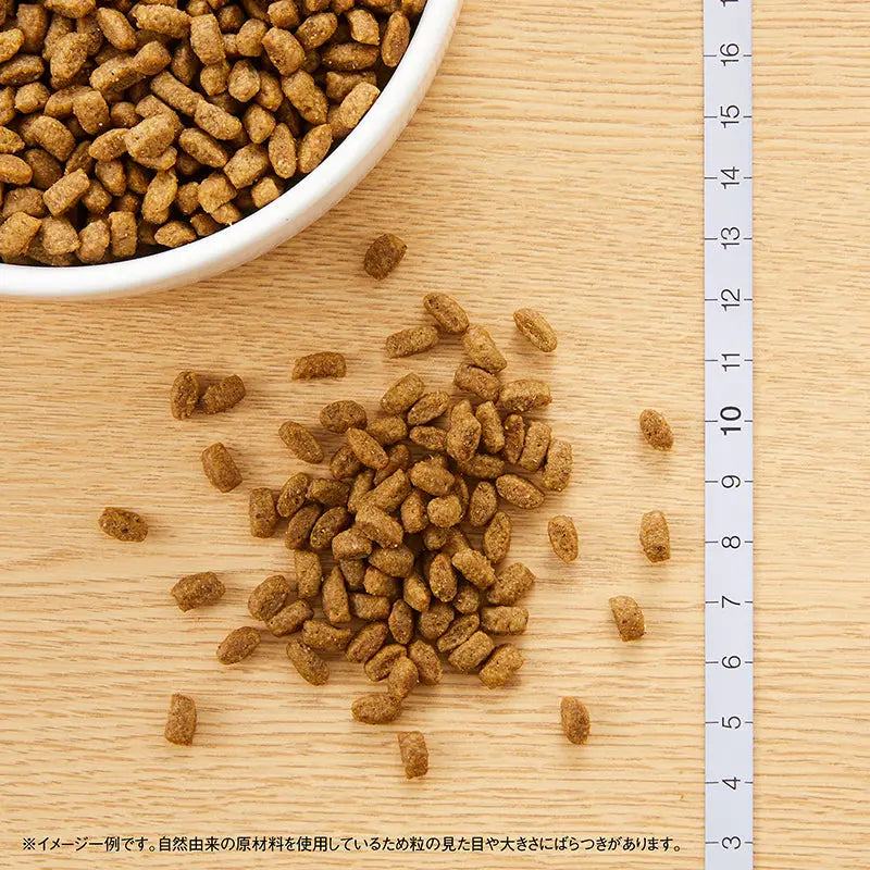 ニュートロ シュプレモ 子犬用 小粒 1kg/3kg/6kg