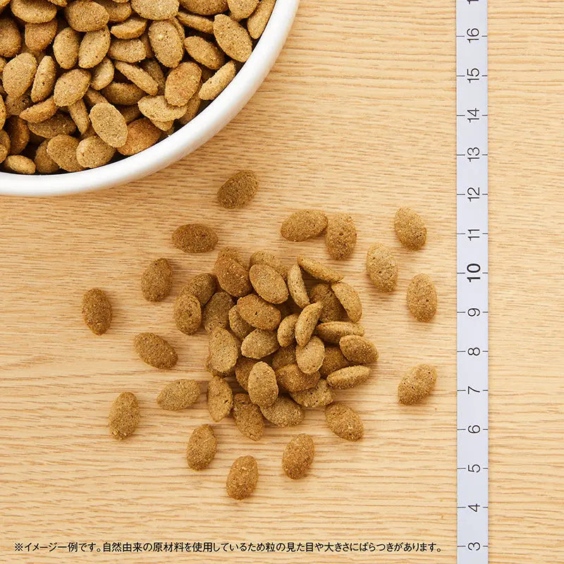 ニュートロ シュプレモ 超小型犬〜小型犬用 体重管理用 1kg/3kg/6kg