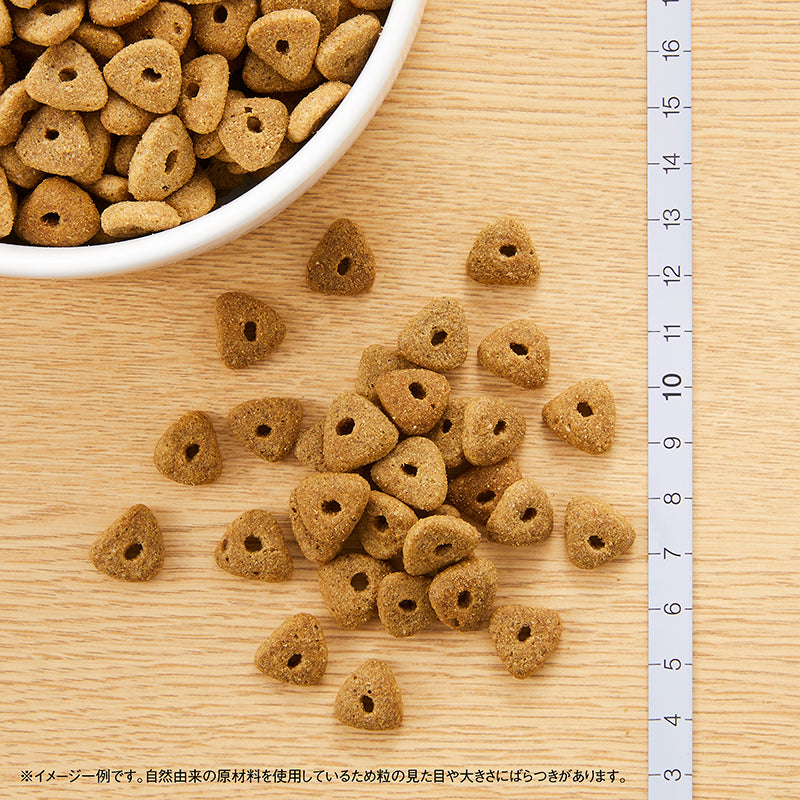 ニュートロ シュプレモ エイジングケア シニア犬用 2kg/4kg/7.5kg/13.5kg