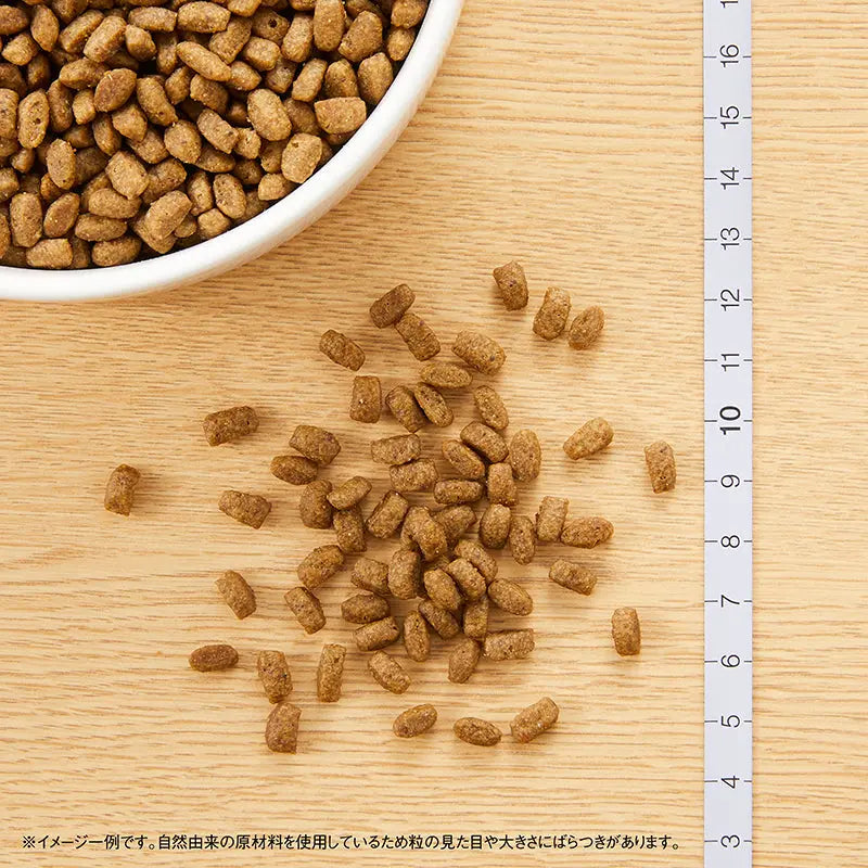 【公式通販限定】ニュートロ 子猫セット(ナチュラル チョイス チキン 4.4kg / デイリー ディッシュ チキン&ツナ パウチ×7袋セット)