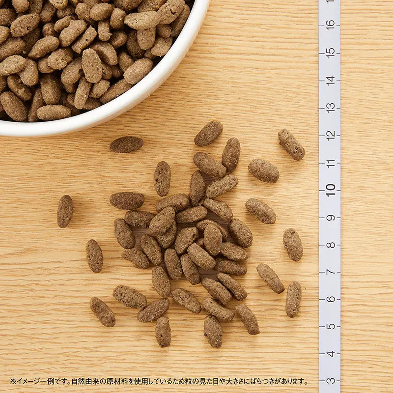 【公式通販限定】ニュートロ ナチュラル チョイス キャット 室内猫用 アダルト チキン 4.4kg(400g×11袋)