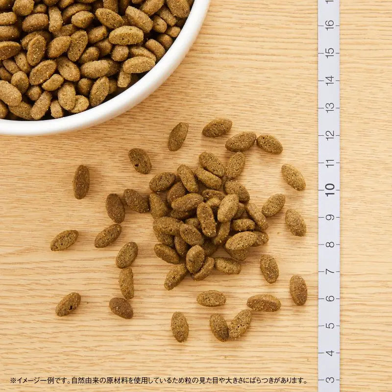 ニュートロ ナチュラル チョイス キャット 室内猫用 エイジングケア チキン 500g/2kg