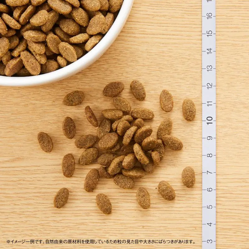 ニュートロ ナチュラル チョイス キャット 室内猫用 アダルト ターキー 500g/2kg