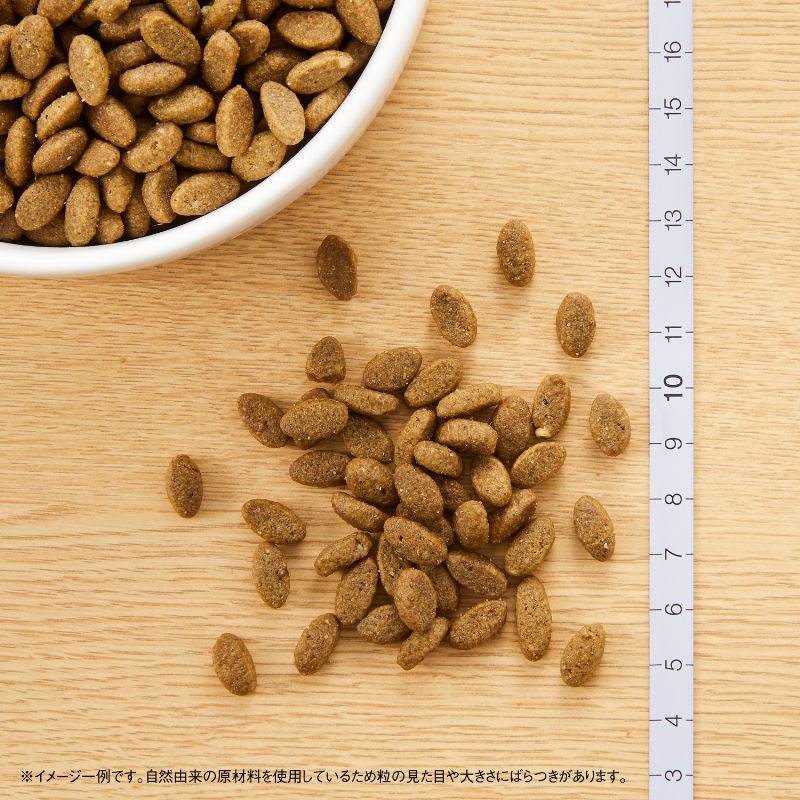 ニュートロ ナチュラル チョイス キャット 室内猫用 アダルト サーモン 500g/2kg