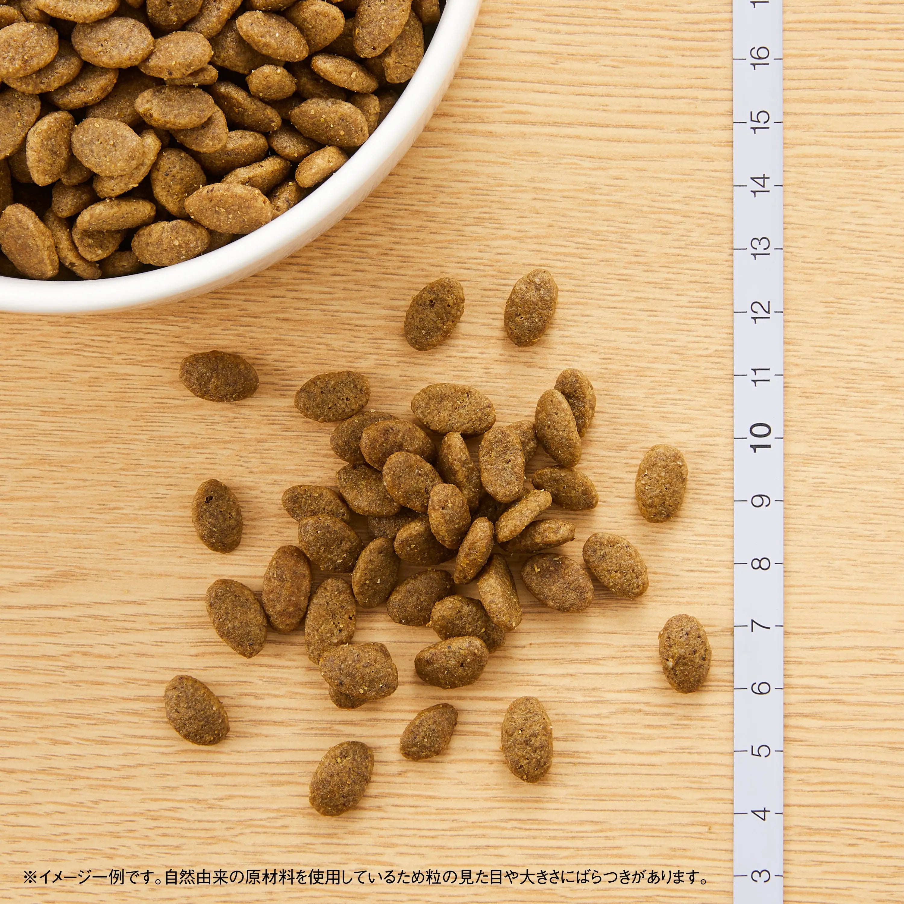 ニュートロ ナチュラル チョイス キャット 穀物フリー アダルト ダック 500g/2kg
