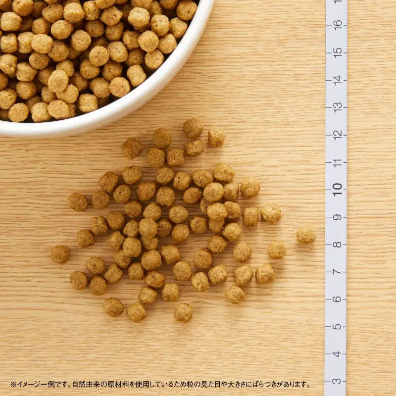 ニュートロ ナチュラル チョイス 超小型犬〜小型犬用 エイジングケア ラム&玄米 1kg/3kg/6kg