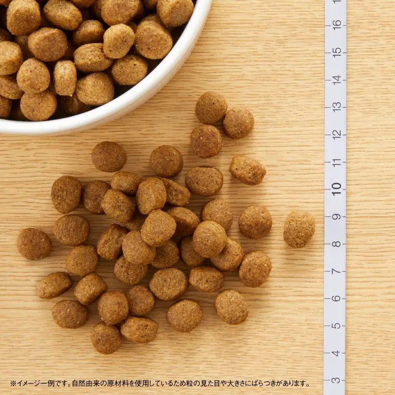 ニュートロ ナチュラル チョイス 中型犬〜大型犬用 成犬用 ラム&玄米 2kg/4kg/7.5kg/13.5kg