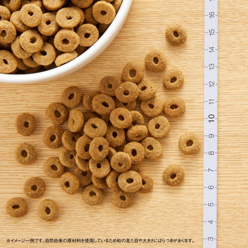 ニュートロ ナチュラル チョイス 中型犬〜大型犬用 エイジングケア ラム&玄米 2kg/4kg/7.5kg/13.5kg