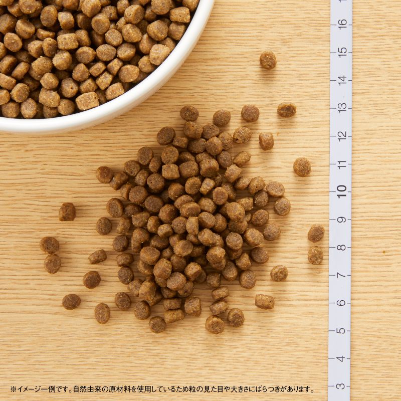 ニュートロ キャット ワイルド レシピ キトン チキン 子猫用 400g/1kg/2kg