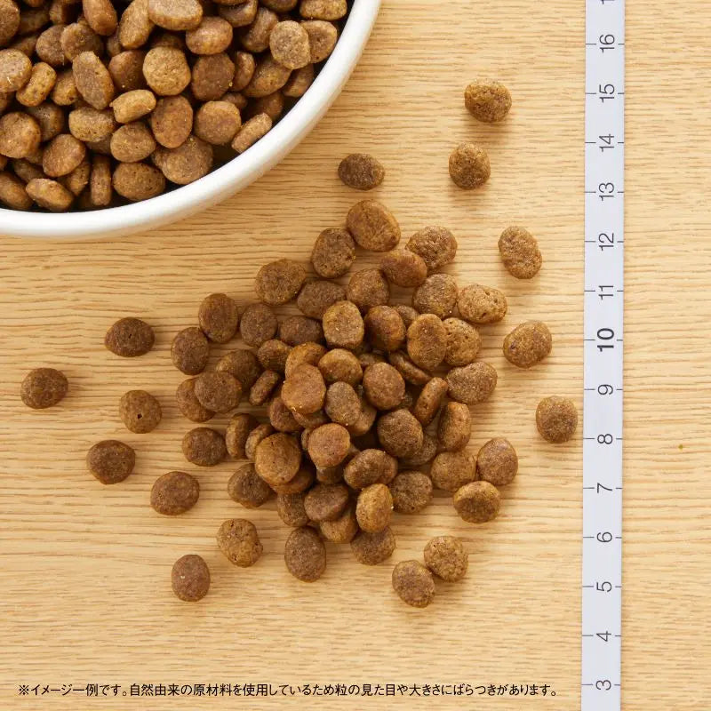 ニュートロ ワイルド レシピ 超小型犬〜小型犬用 子犬用 ターキー 800g/2kg/4kg