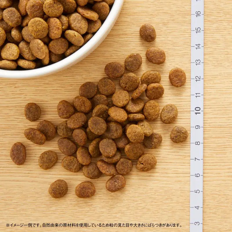ニュートロ ワイルド レシピ 超小型犬〜小型犬用 成犬用 ターキー 800g/2kg/4kg