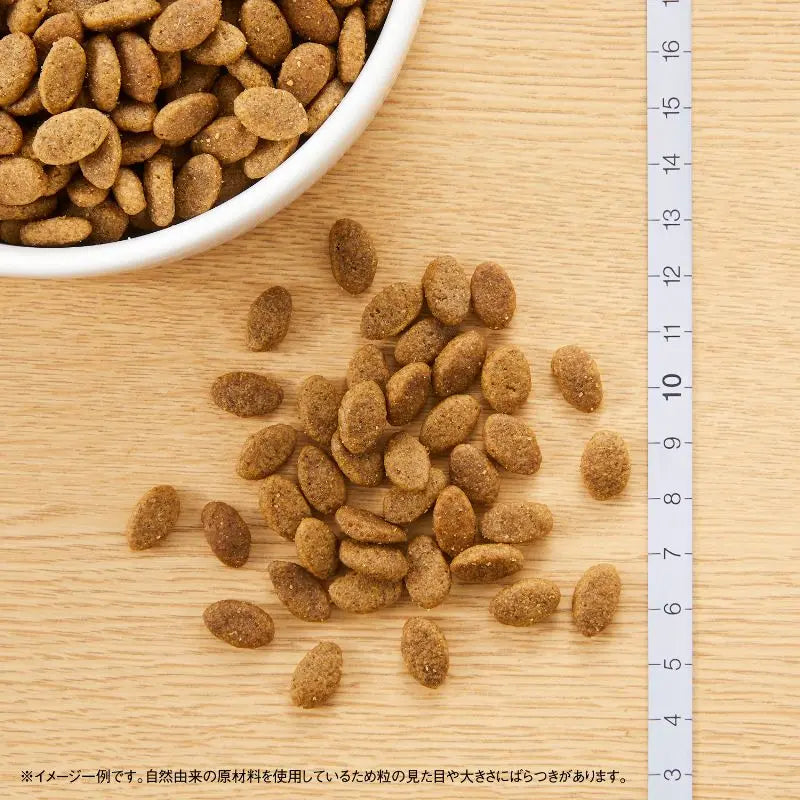ニュートロ シュプレモ 超小型犬〜小型犬用 成犬用 草原のレシピ チキン 800g/2kg/4kg