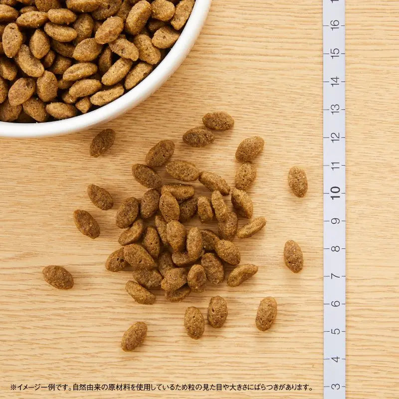 ニュートロ ナチュラル チョイス キャット 穀物フリー アダルト チキン 500g/2kg
