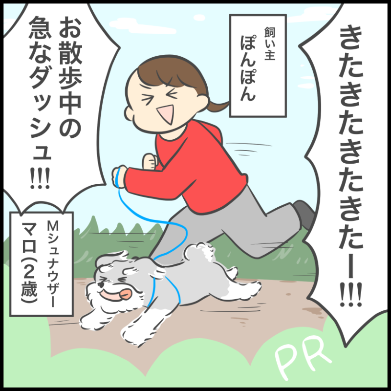 グリニーズ デイリーサプリメント おなかの健康サポート 犬用サプリメント 63g/126g