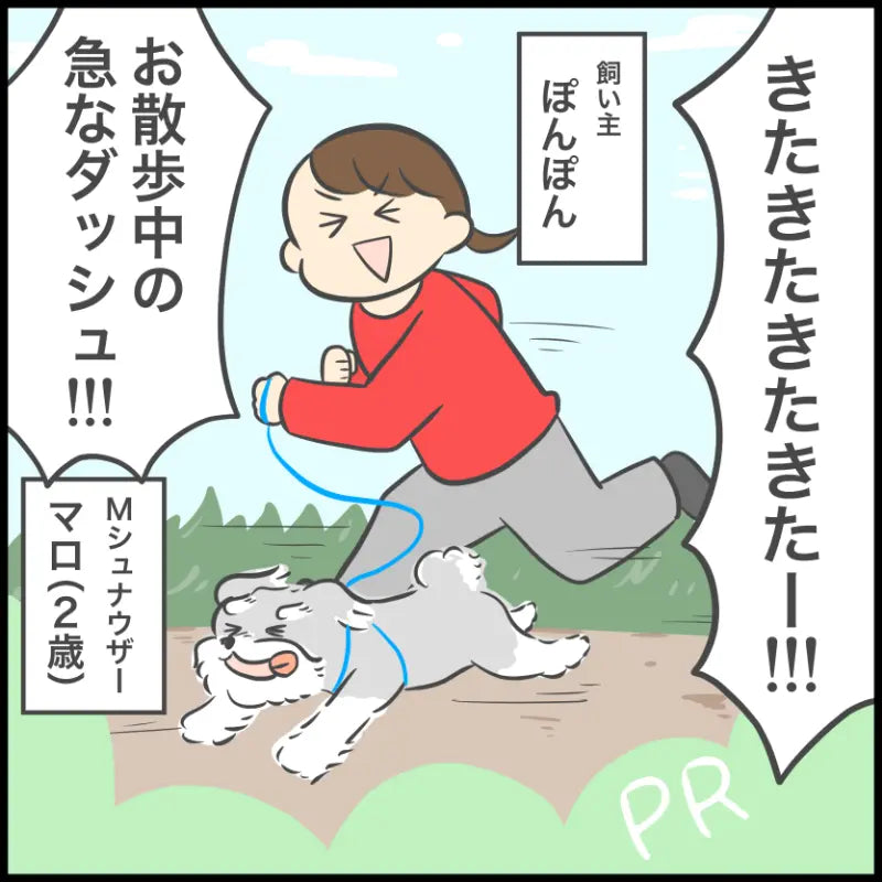 グリニーズ デイリーサプリメント おなかの健康サポート 犬用サプリメント 63g/126g