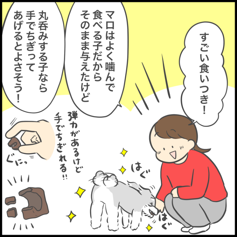 グリニーズ デイリーサプリメント おなかの健康サポート 犬用サプリメント 63g/126g