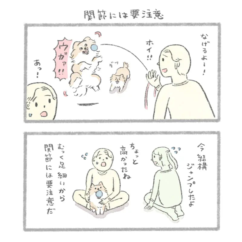 グリニーズ デイリーサプリメント 関節の健康サポート 犬用サプリメント 63g/126g