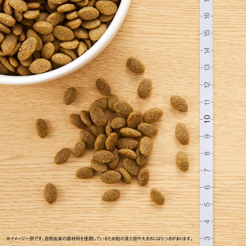 ニュートロ ナチュラル チョイス キャット 穀物フリー アダルト サーモン 500g/2kg