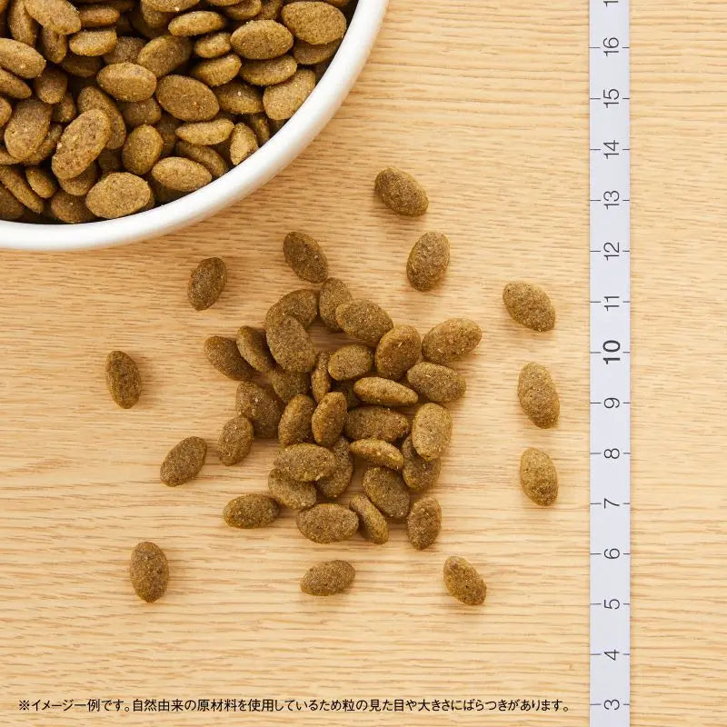 ニュートロ ナチュラル チョイス キャット 穀物フリー アダルト サーモン 500g/2kg