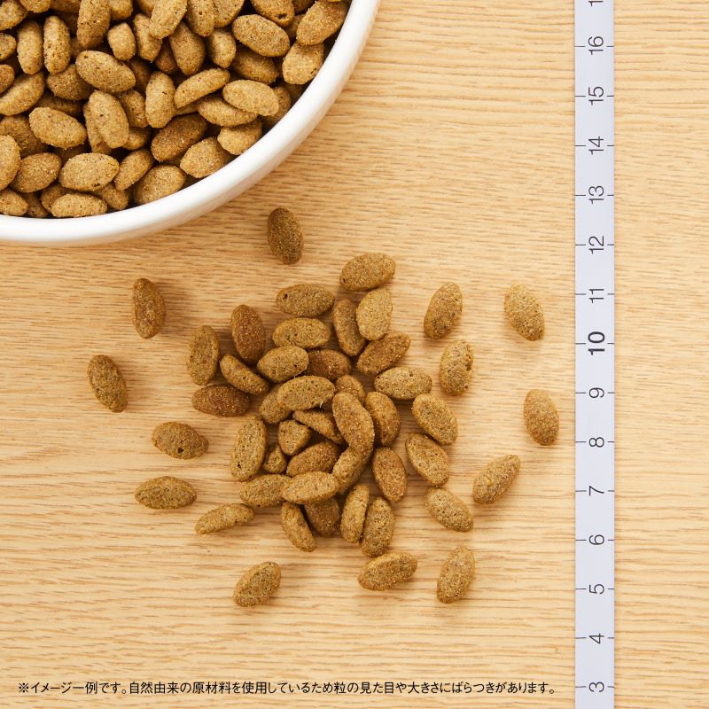 ニュートロ ナチュラル チョイス キャット 減量用 アダルト チキン 500g/2kg