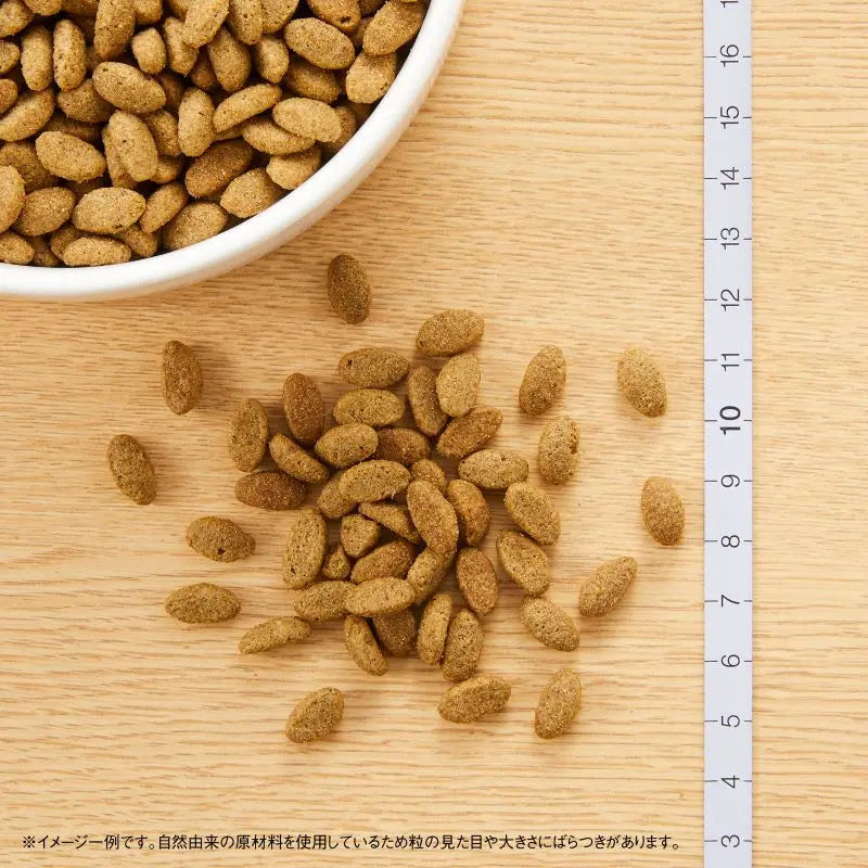 ニュートロ ナチュラル チョイス キャット 減量用 アダルト チキン 500g/2kg