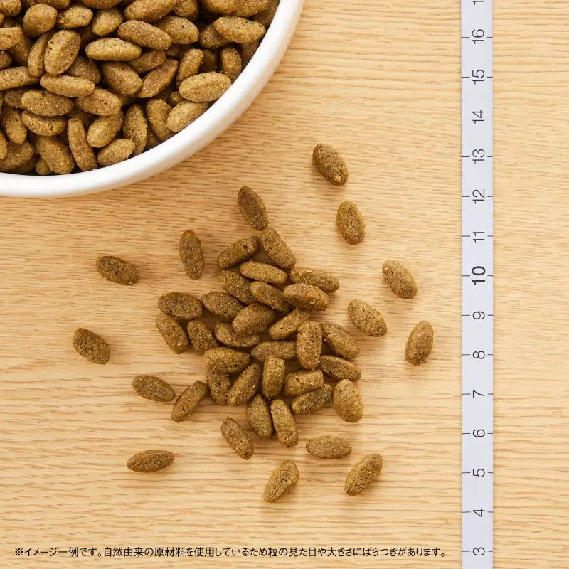 ニュートロ ナチュラル チョイス キャット 避妊・去勢猫用 アダルト 白身魚 500g/2kg