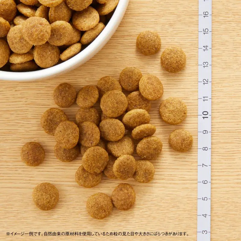 ニュートロ ナチュラル チョイス 中型犬〜大型犬用 成犬用 チキン&玄米 3kg/15kg