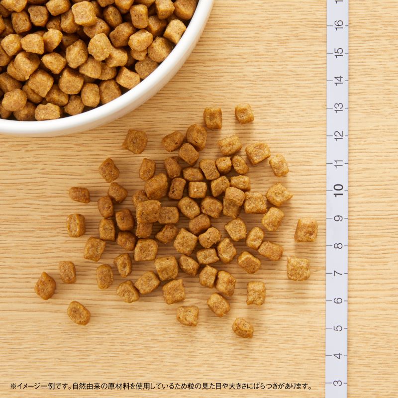 ニュートロ ナチュラル チョイス 小型犬用 成犬用 生後8ヶ月以上 チキン&玄米 1kg/3kg/6kg