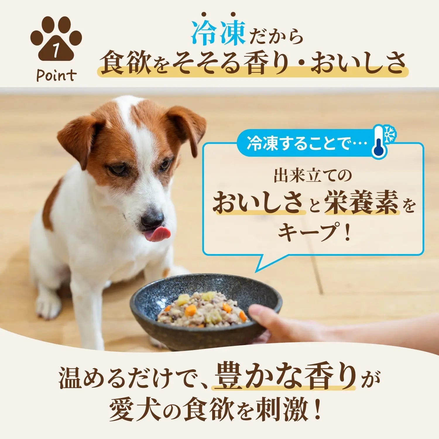 【シニア犬用】ニュートロ フローズン 日本の恵み 海 真鯛 12袋セット ニュートロ™公式通販