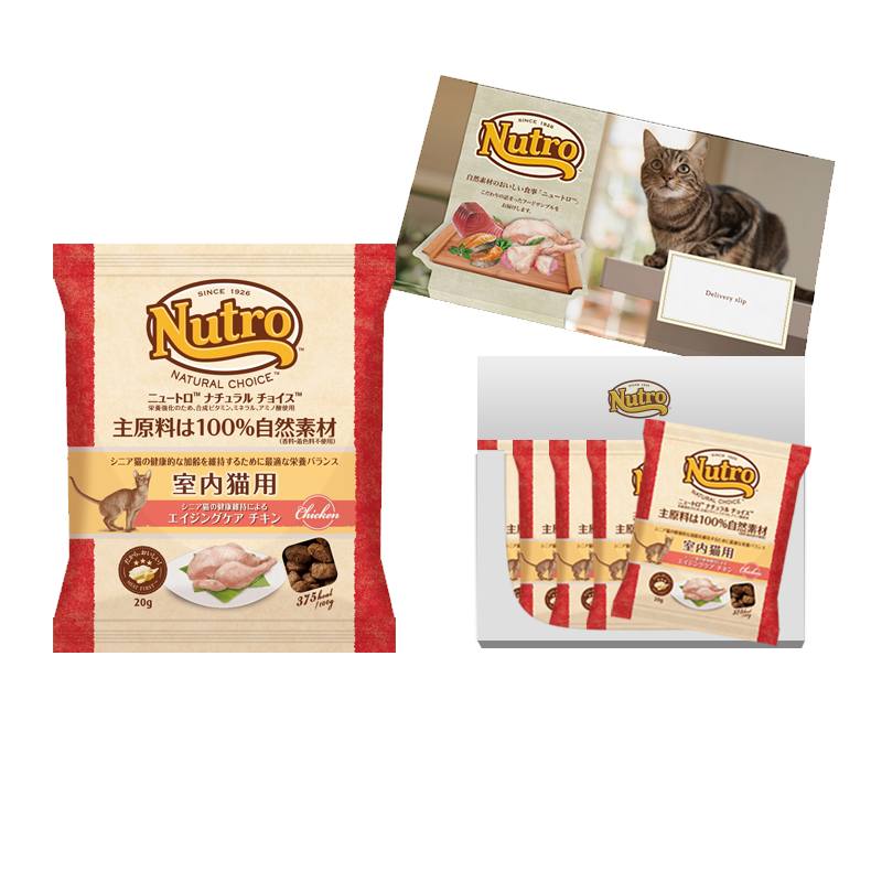 【お試しサンプル】ナチュラル チョイス 室内猫用 エイジングケア チキン シニア猫用 100g(20g×5袋)