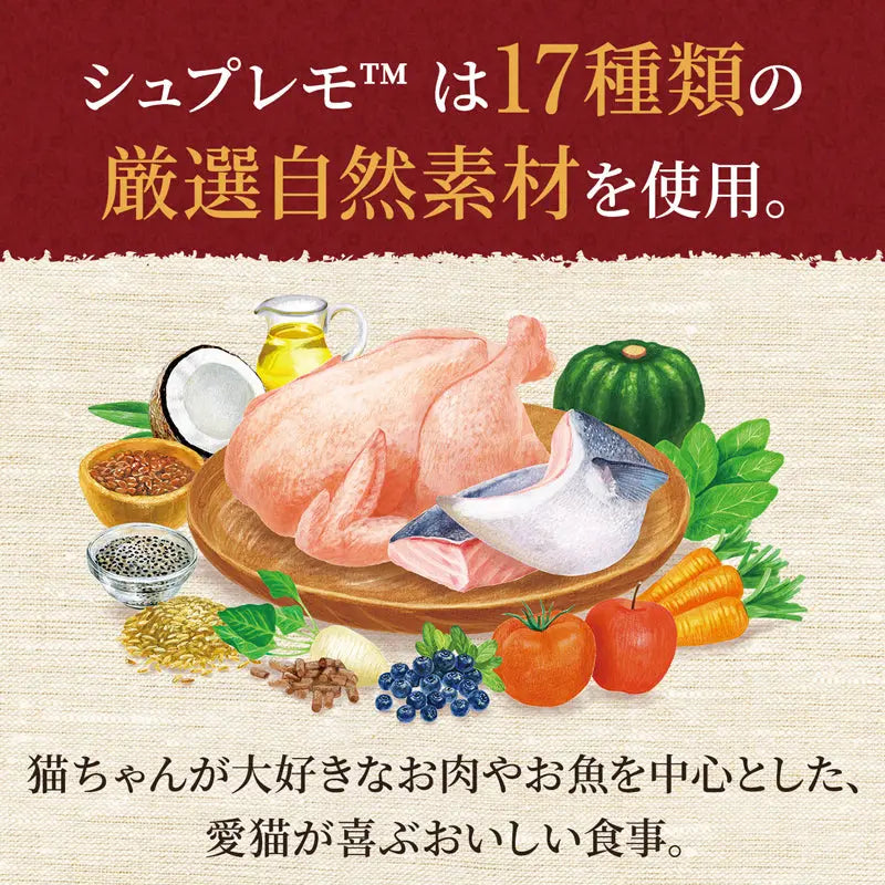 ニュートロ シュプレモ 成猫用 サーモン&チキン 400g/2kg