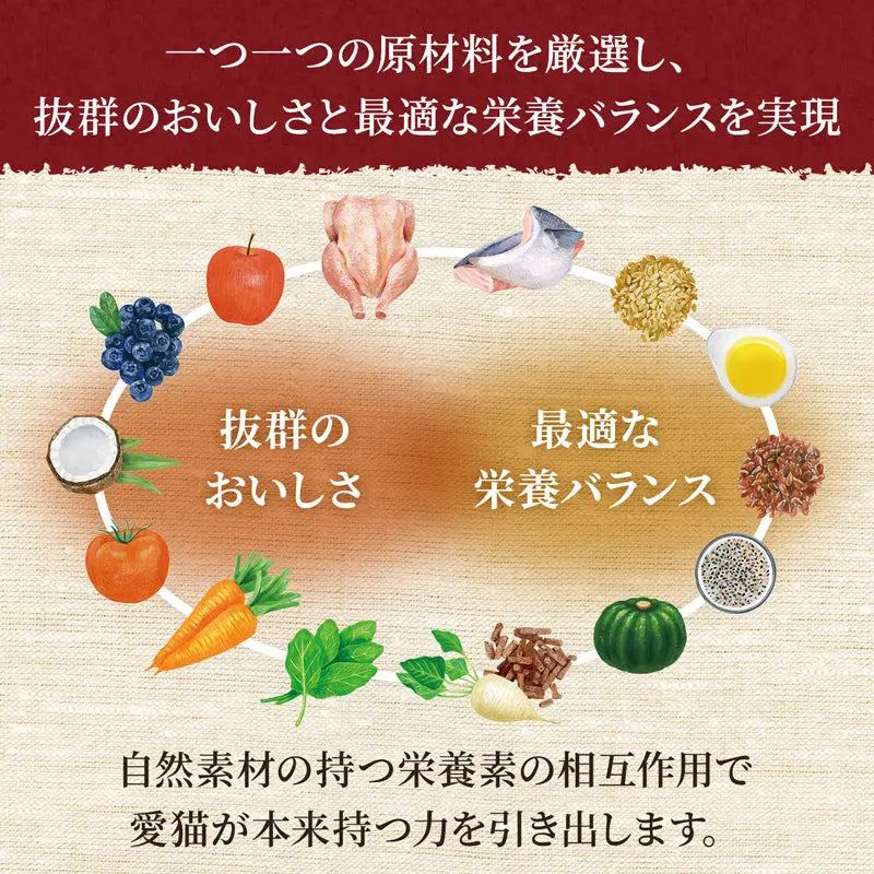 ニュートロ シュプレモ 成猫用 サーモン&チキン 400g/2kg