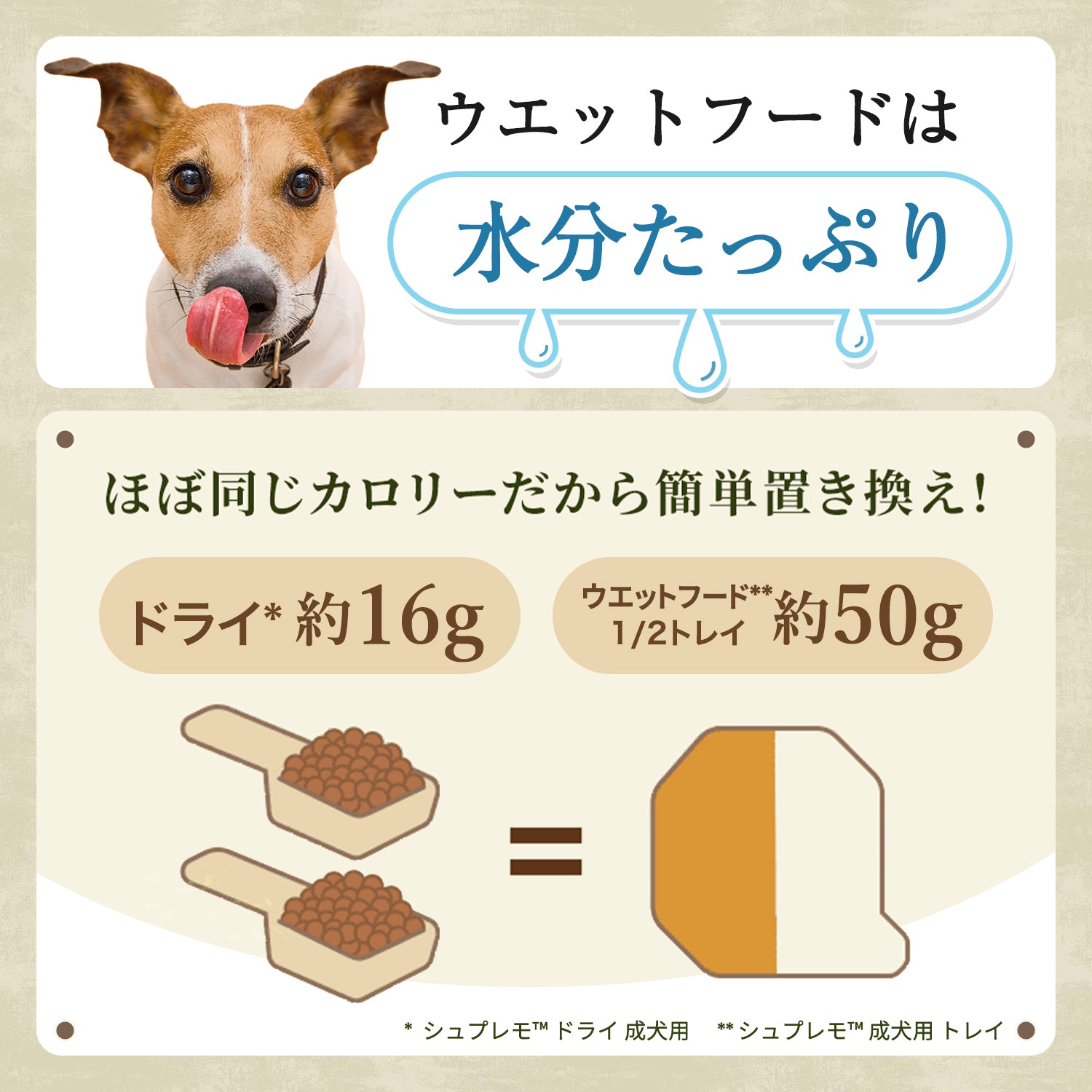 ニュートロ シュプレモ チキン&サーモン入り 成犬用 トレイ
