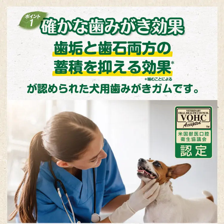 グリニーズ プラス 成犬用 超小型犬用 ミニ 1.3-4kg