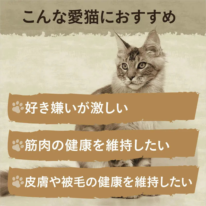 ニュートロ キャット ワイルド レシピ フリーズドライプラス アダルト サーモン 成猫用 400g/1kg
