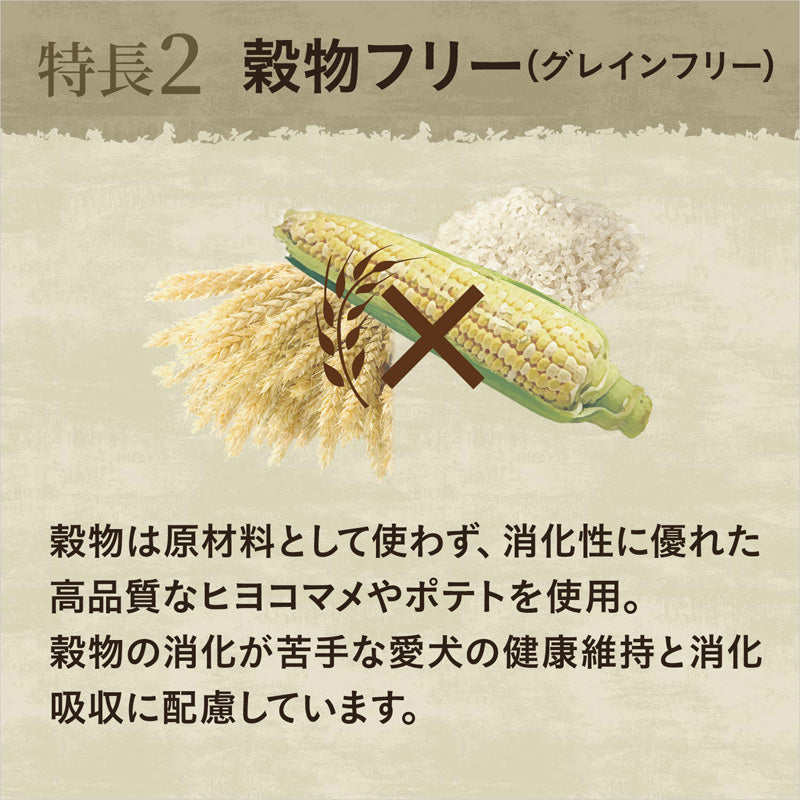 ニュートロ ワイルド レシピ 超小型犬〜小型犬用 成犬用 ターキー 800g/2kg/4kg