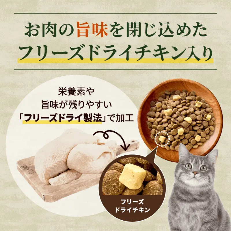 ニュートロ キャット ワイルド レシピ フリーズドライプラス アダルト チキン 成猫用 400g/1kg