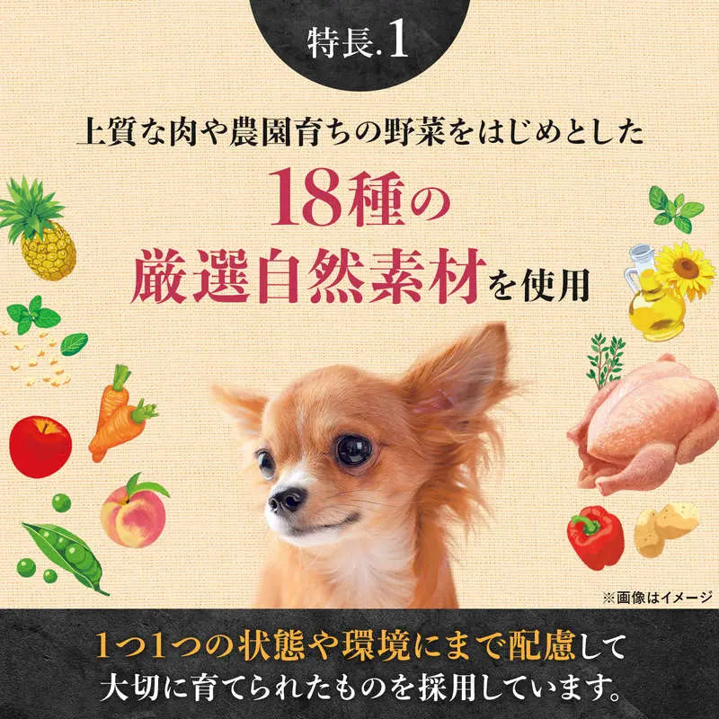 ニュートロ シュプレモ プレミアム ブレンド チキン 超小型犬〜小型犬用 成犬用 500g/1.5kg