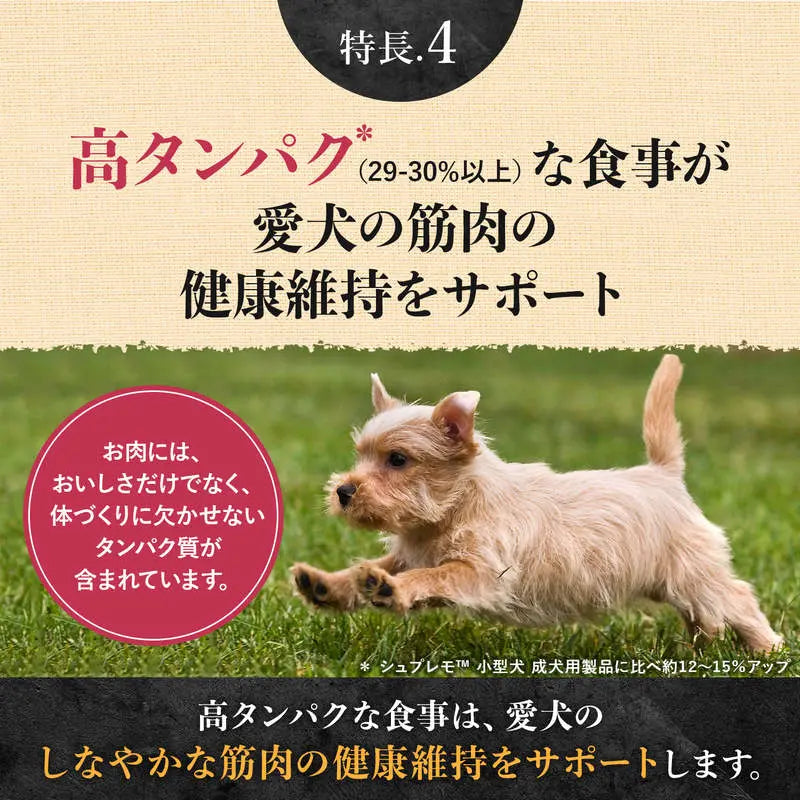 ニュートロ シュプレモ プレミアム ブレンド チキン 超小型犬〜小型犬用 成犬用 500g/1.5kg