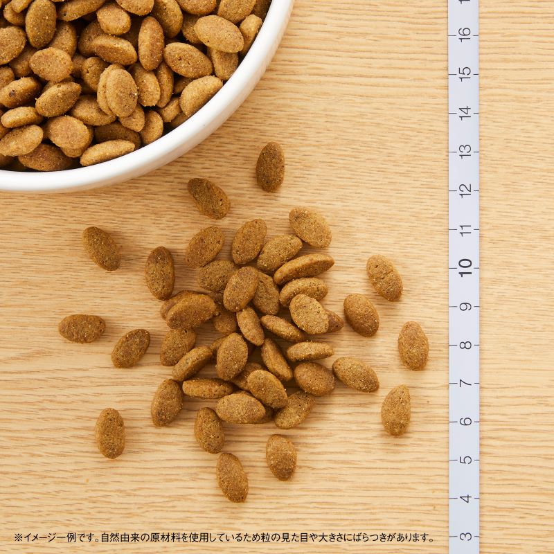 【公式通販限定】ニュートロ シュプレモ 小型犬用 成犬用 5.4kg(600g×9袋)