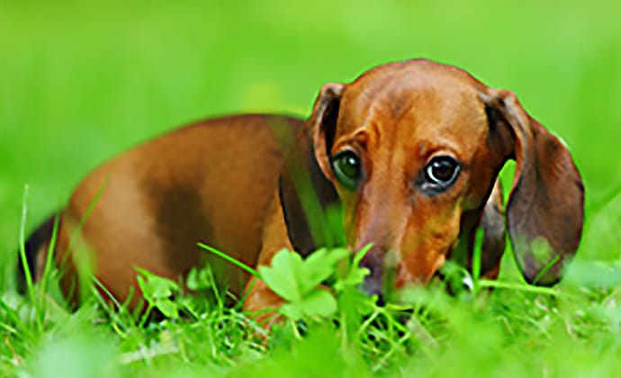 お腹の状態チェックは健康チェック