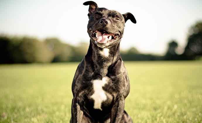 夏は熱中症に要注意！