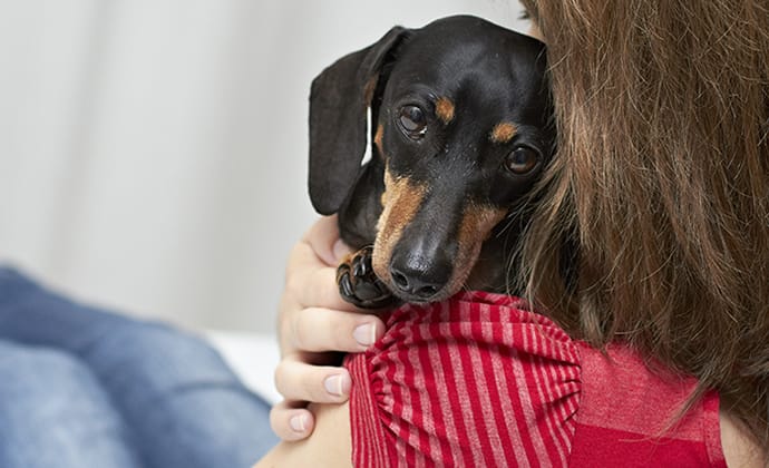 トイレトレーニングを成功させるコツ